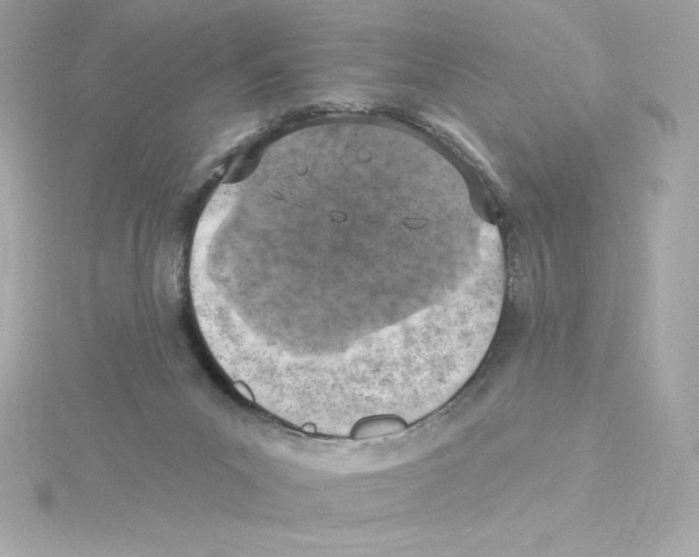 X0000115230023200911271832