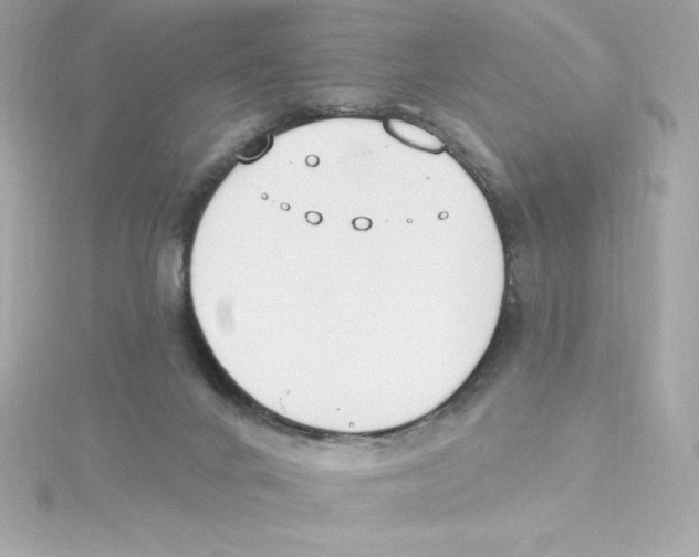 X0000115230024200911271832