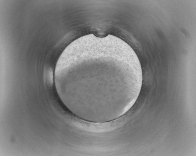 X0000115230027200911271831