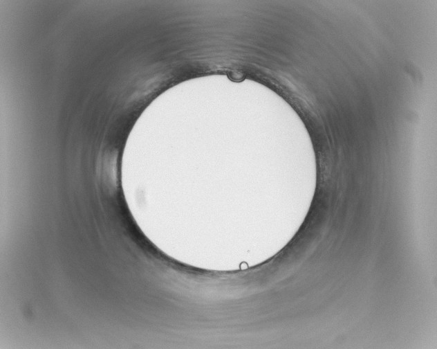 X0000115230028200911271831