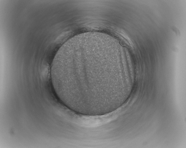 X0000115230029200911271831