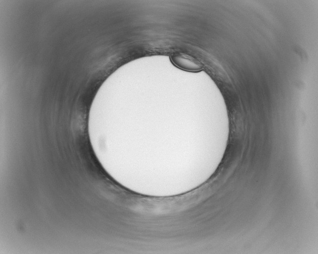 X0000115230033200911271831