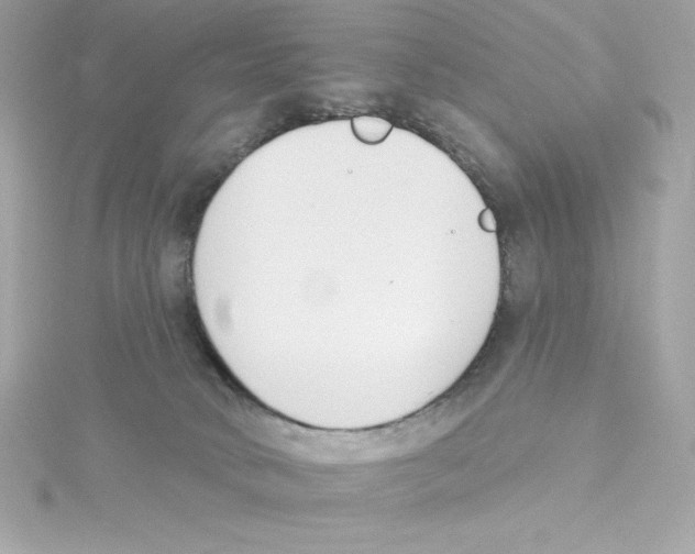 X0000115230034200911271831