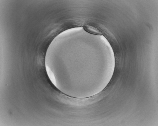 X0000115230035200911271831