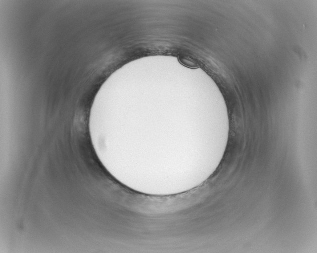 X0000115230037200911271831