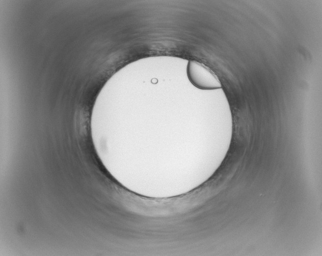 X0000115230038200911271831