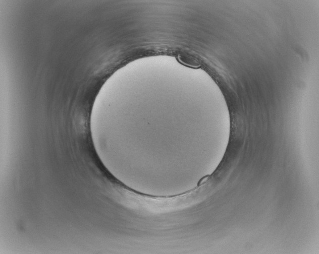 X0000115230039200911271831