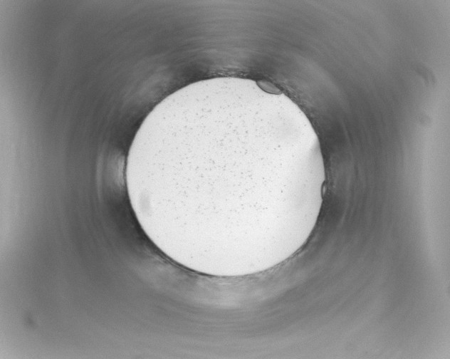 X0000115230041200911271831