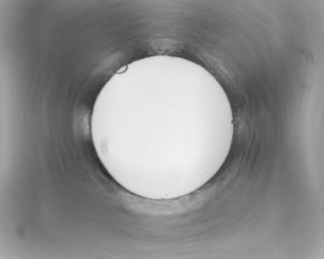 X0000115230042200911271831