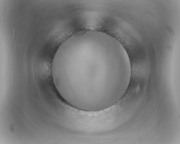 X0000115230043200911271831