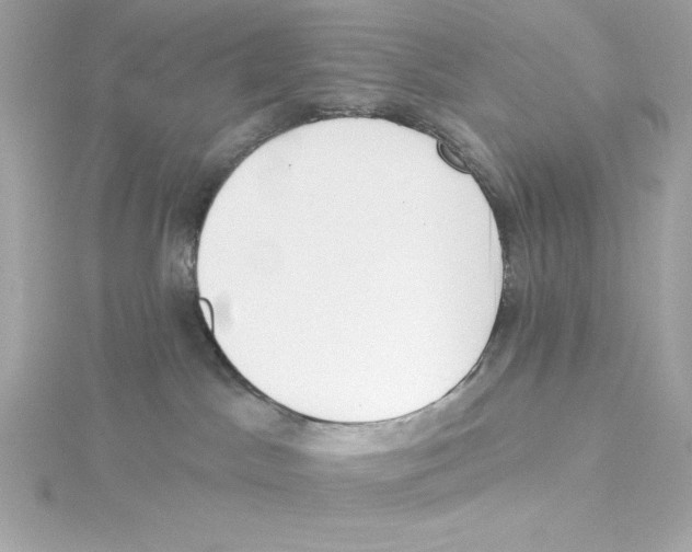 X0000115230045200911271831