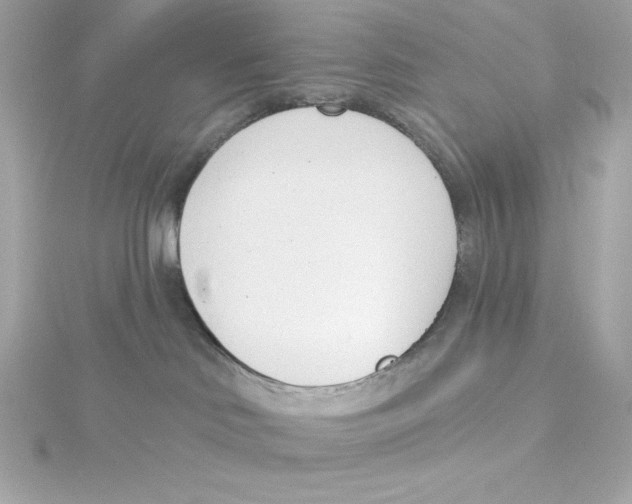 X0000115230046200911271831