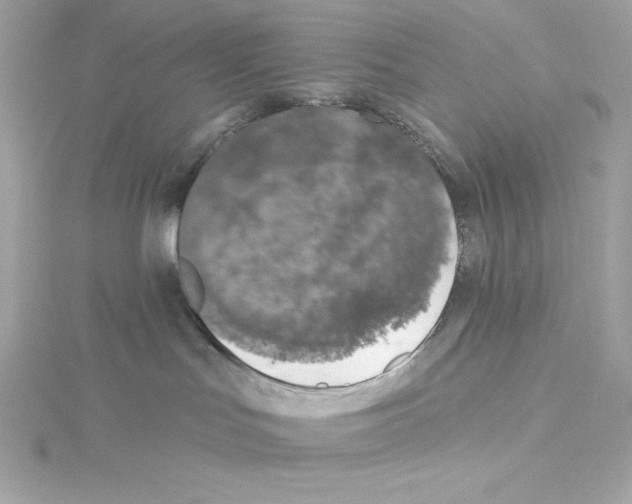 X0000115230047200911271831