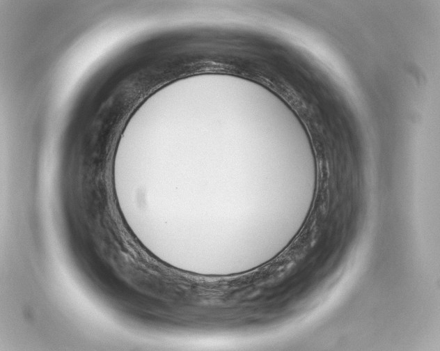 X0000115230050200911271830