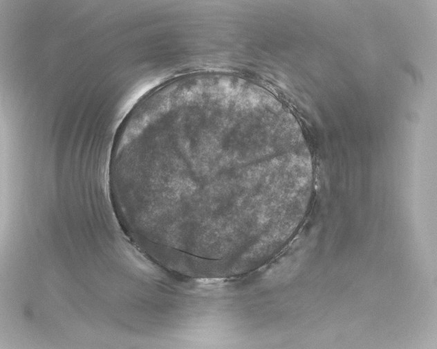 X0000115230052200911271830