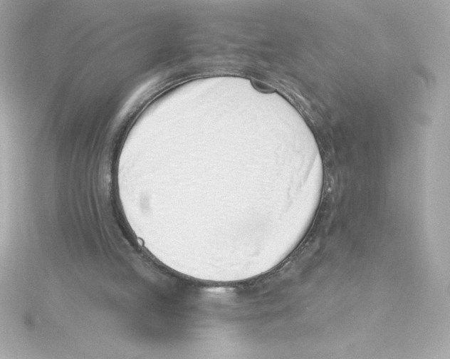 X0000115230053200911271831