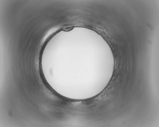 X0000115230054200911271831