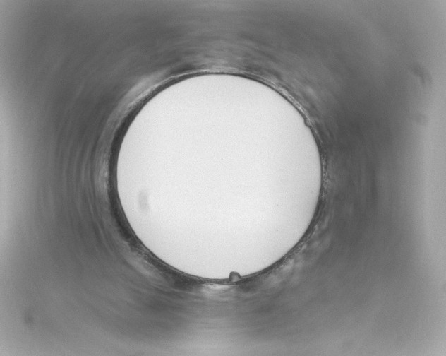 X0000115230055200911271831