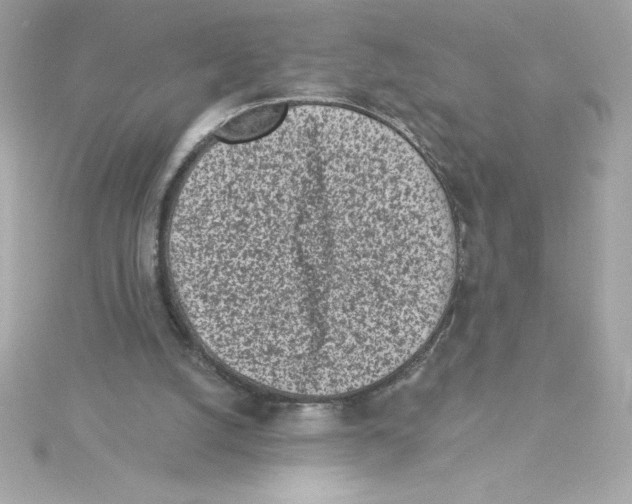 X0000115230056200911271831