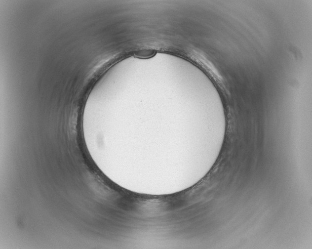 X0000115230058200911271831