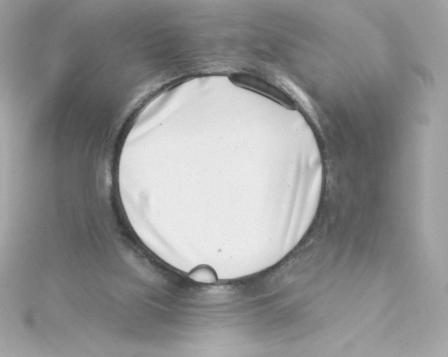 X0000115230059200911271831