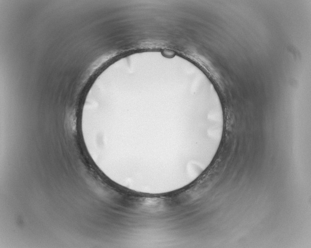 X0000115230060200911271831