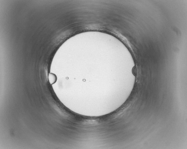 X0000115230061200911271831