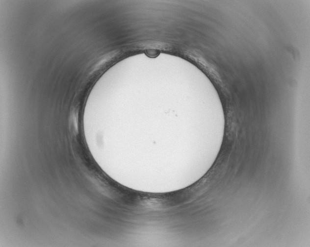 X0000115230062200911271831