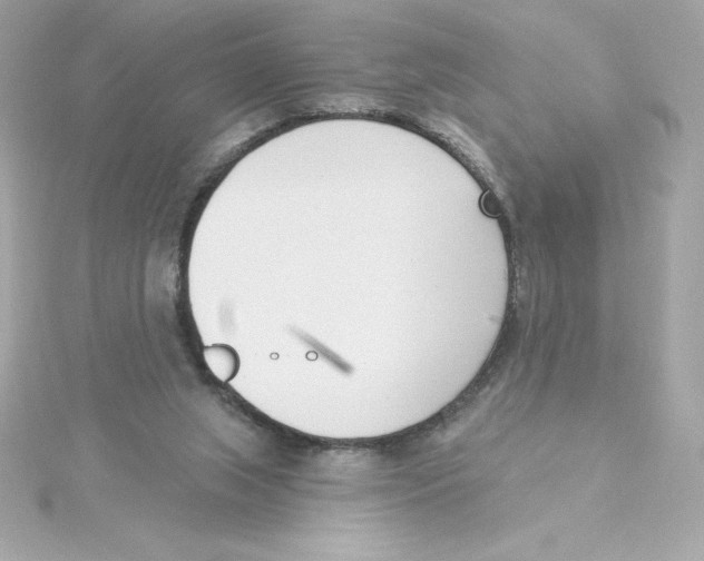 X0000115230063200911271831