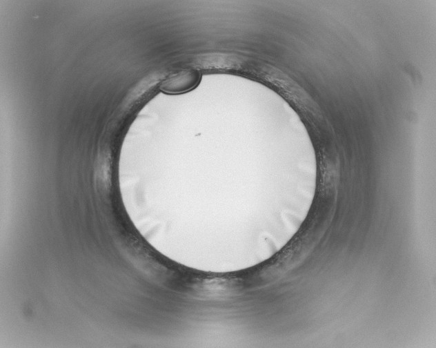 X0000115230064200911271831