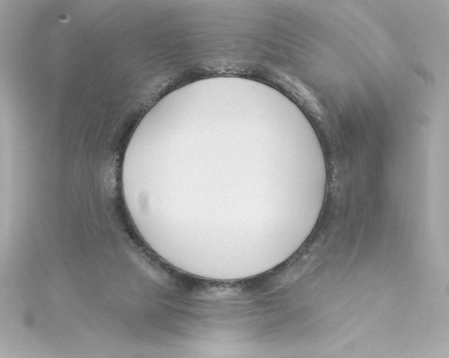 X0000115230065200911271831