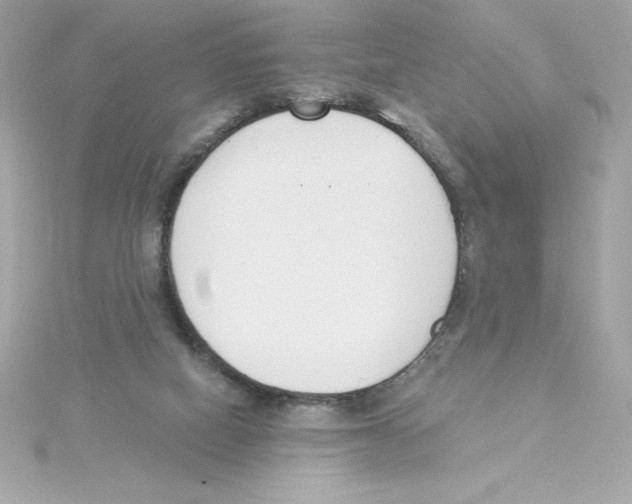 X0000115230066200911271831