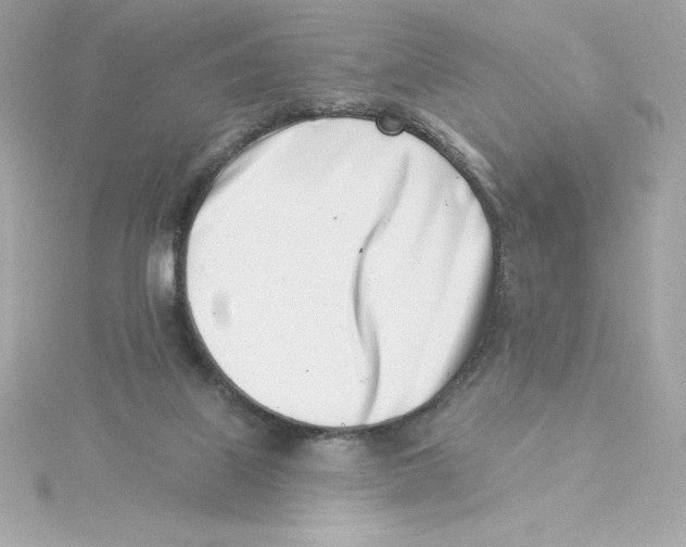 X0000115230067200911271831