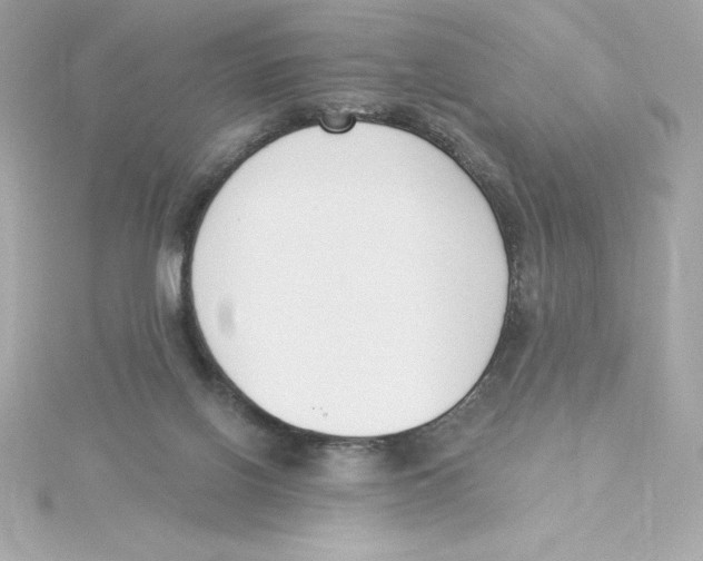 X0000115230070200911271831