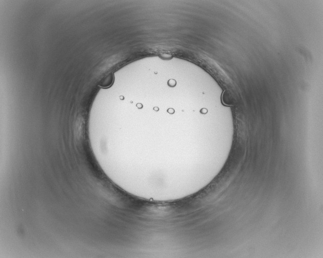 X0000115230071200911271831