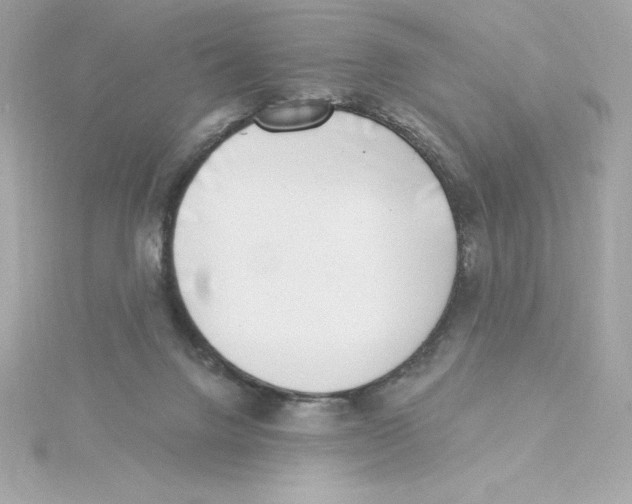 X0000115230072200911271831