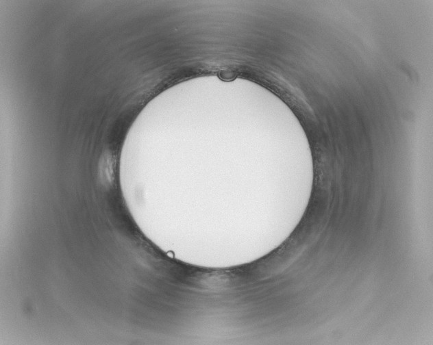 X0000115230075200911271831