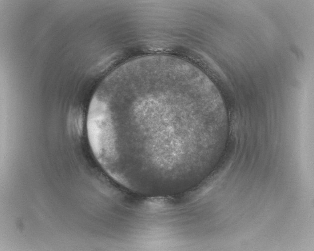 X0000115230076200911271831