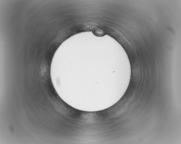 X0000115230079200911271831