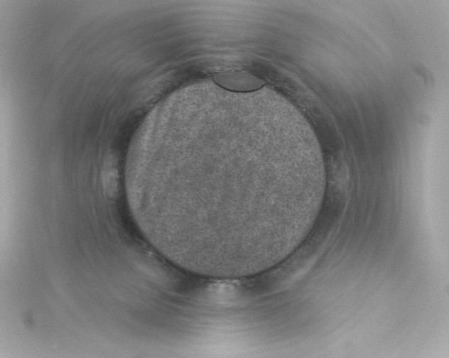 X0000115230080200911271831