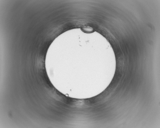 X0000115230083200911271831