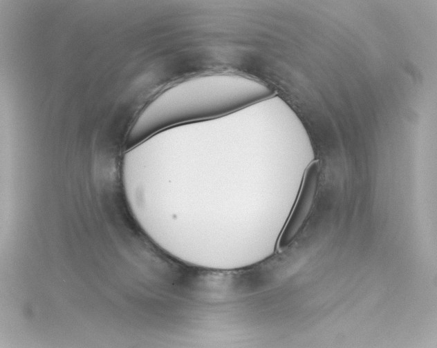 X0000115230084200911271831