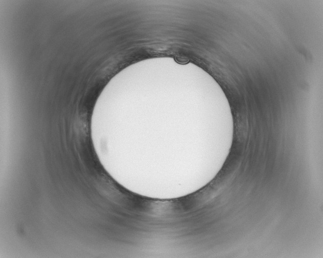 X0000115230085200911271831