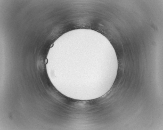 X0000115230086200911271831