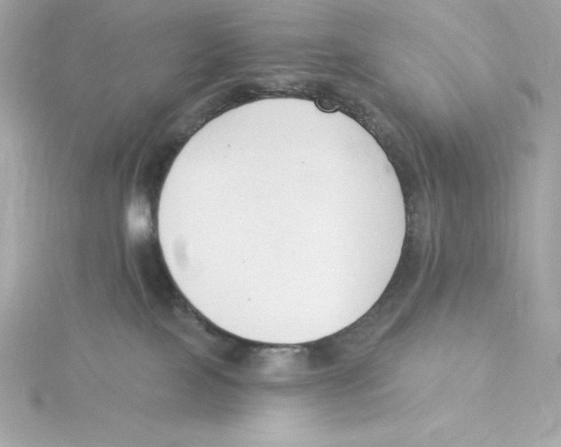 X0000115230089200911271831