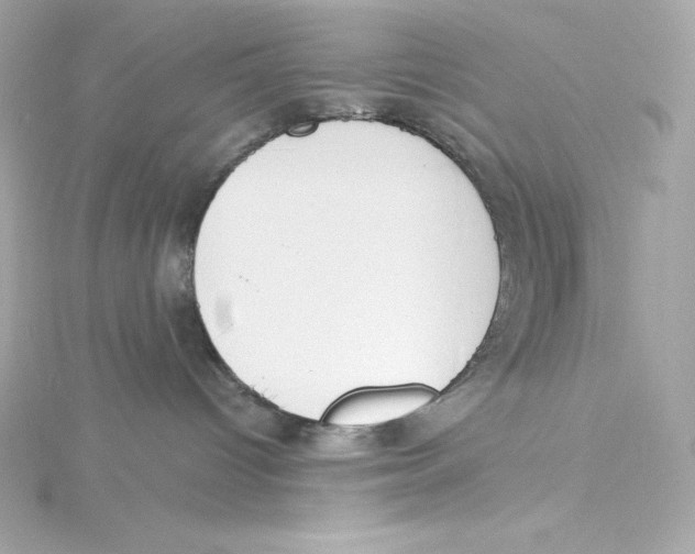 X0000115230096200911271831