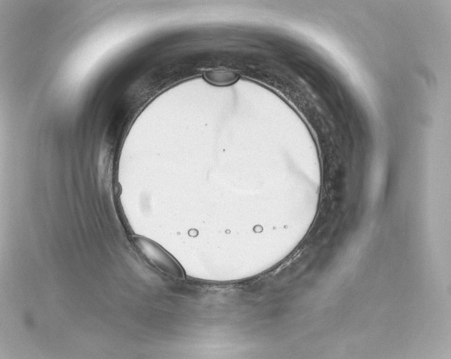 X0000115230099200911271830