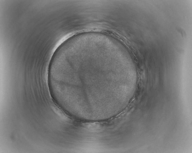 X0000115230100200911271830