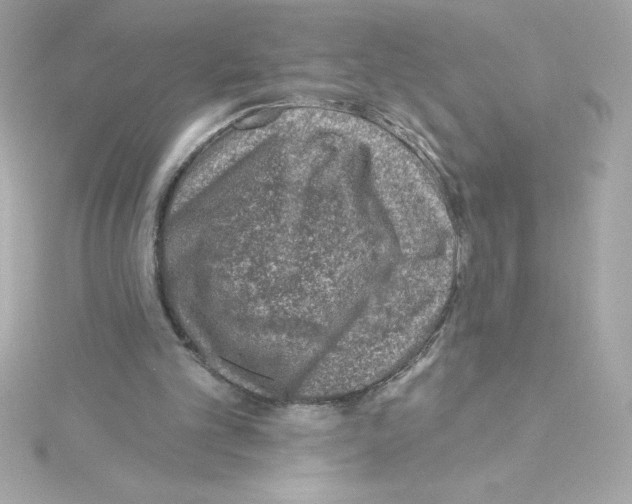 X0000115230101200911271830