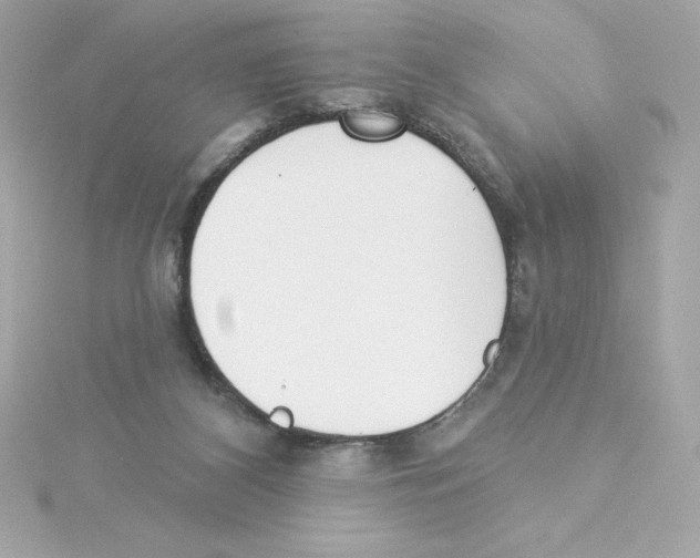 X0000115230116200911271830